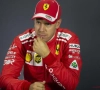 Meningen over opvolger Vettel waren verdeeld