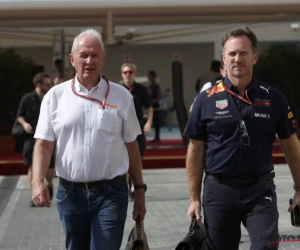 Helmut Marko doet opmerkelijke bekentenis over het afscheid van Daniel Ricciardo