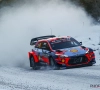 Thierry Neuville moet leiding in WK-stand delen na rally van Zweden