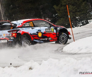 🎥 Rally van Zweden gaat mogelijk niet door wegens... te weinig sneeuw